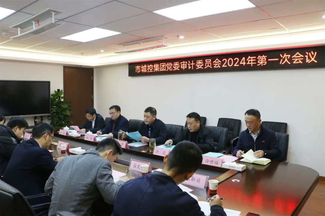 市城控集團黨委審計委員會召開2024年第一次會議